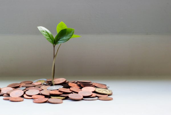 a plant growing from coins