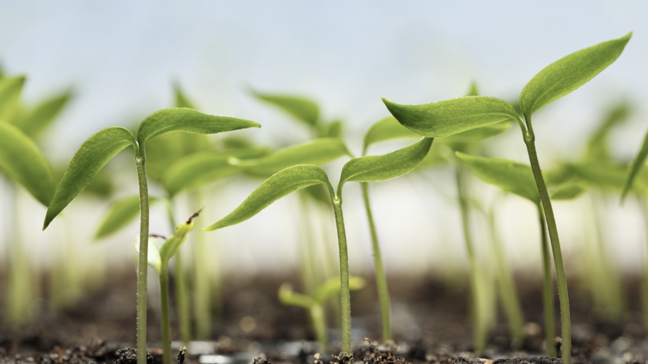 10 reasons to be positive about R&D Tax Credits